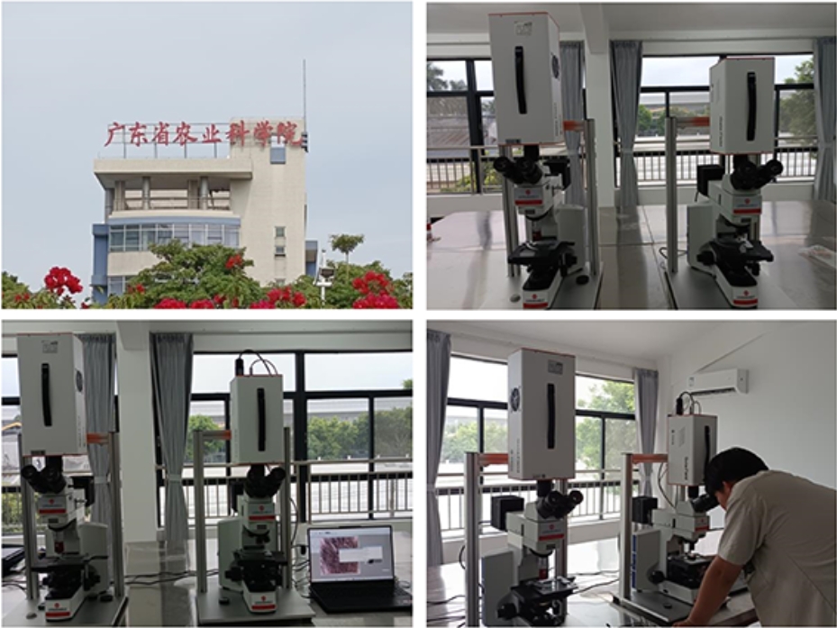 廣東省農(nóng)業(yè)科學院顯微高光譜成像系統(tǒng)