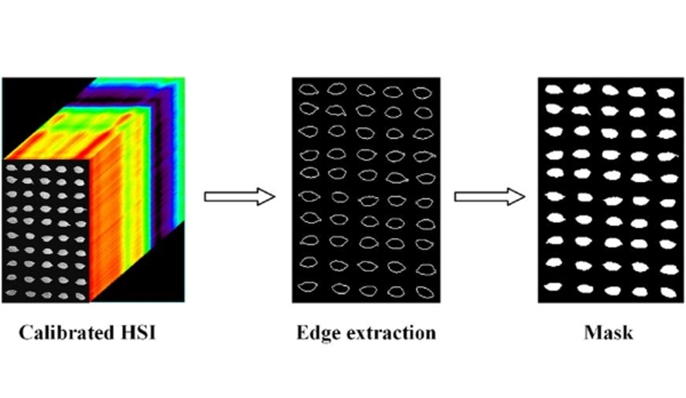 顛覆傳統(tǒng)！高光譜成像+深度森林模型，精準(zhǔn)識(shí)別凍害水稻種子