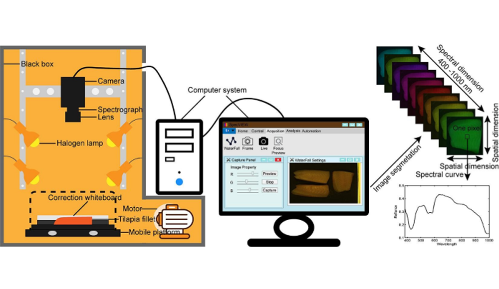 高光譜成像技術(shù)在魚類品質(zhì)檢測(cè)研究中的應(yīng)用進(jìn)展